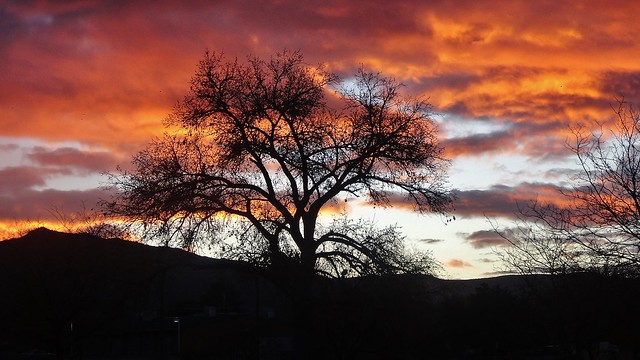 Albuquerque Sunrise