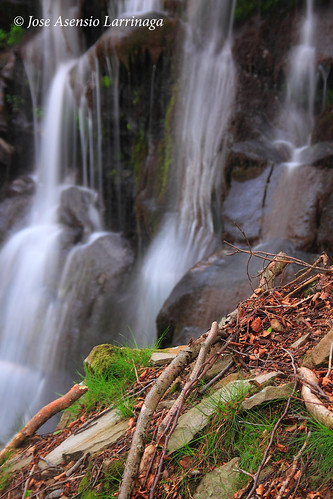 Parque natural de Gorbeia #DePaseoConLarri #Flickr 8027