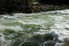 DSC05587 Lochsa River, Idaho
