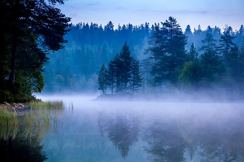 morning travel trees light mist lake color tree water colors norway horizontal misty fog forest canon landscape photography daylight norge woods colorful quiet colours view foggy earlymorning scene september skog getty traveling dis vann takingpictures tåke quietness morningmist mists drammen landskap trær quietly farger colorimage buskerud beautyinnature nedreeiker photographying morgendis taake canon5dmarkii vrangla