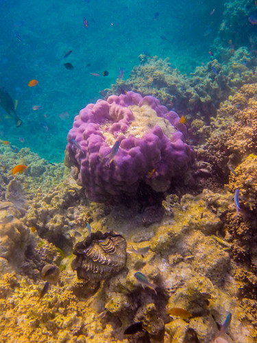 Similan Islands, Thailand