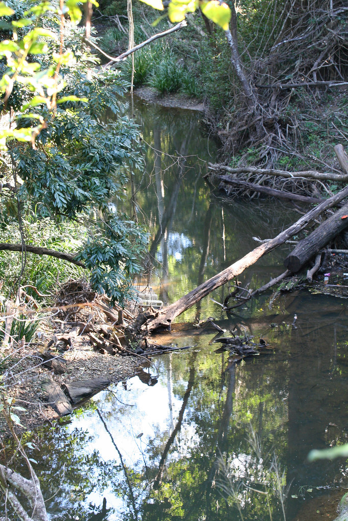 20130727_0365 Burpengary Creek at Narangba