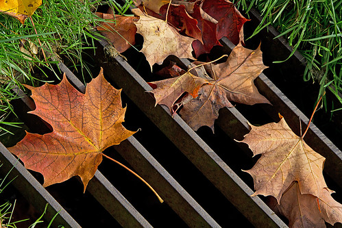 Fall Grate | by Ninja Mom