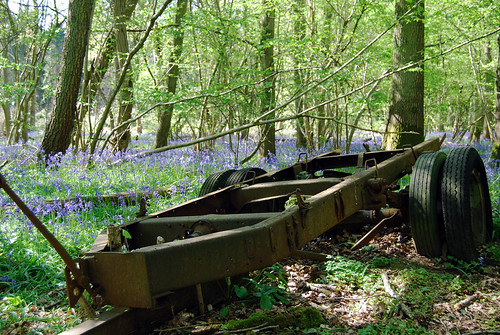 Trailer and bluebells | by dachalan