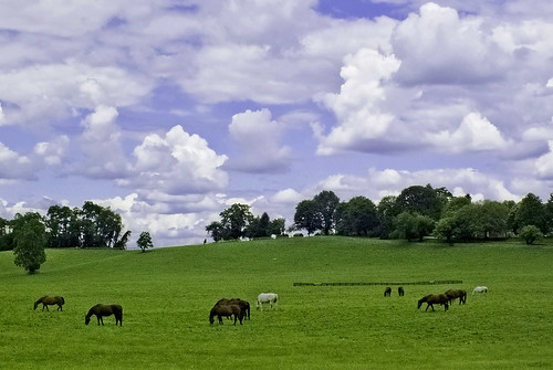 ranch sky horses field clouds rural landscape maryland pasture thumbsup baltimorecounty thebestofmimamorsgroups mygearandme zunikoff