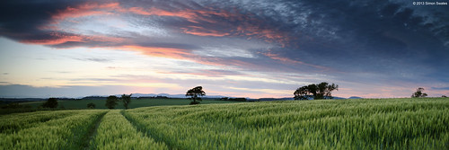 trees sunset panorama tree barley clouds zeiss scotland fife availablelight farming silhouettes crops crombie ze gloaming ochilhills layermasks leefilters canoneos5dmkii distagont2821 distagon2128ze bankheadfarm