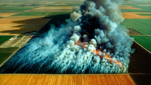 Aerial view, wheat field stubble burn, Kansas, by Harald Sund