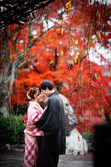 Wedding shot in Japanese red leaves