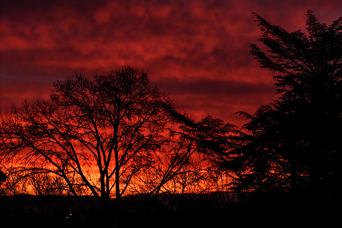 sunrise contraluz arboles sombra nubes