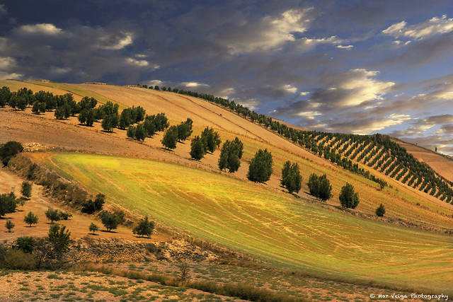 Landscape, Southern Spain.