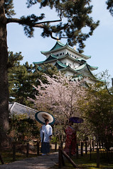 Japan - Nagoya Castle