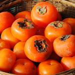 Persimmon 柿子