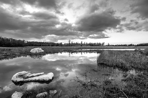 blackandwhite bw reflection water clouds contrast landscape 60d jelkebirdsanctuary