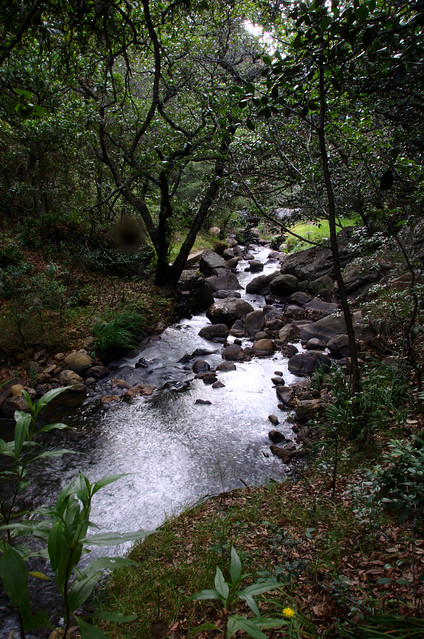 Cane river in Iguaque