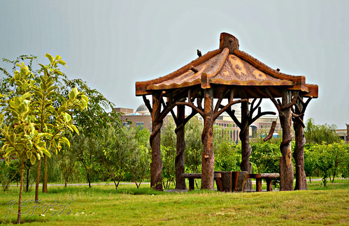Green is Beauty #NUST | by RSFotos.