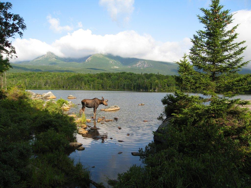 andy Stream Pond in Baxter State Park, Maine