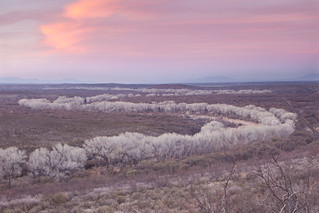 San Pedro Riparian NCA