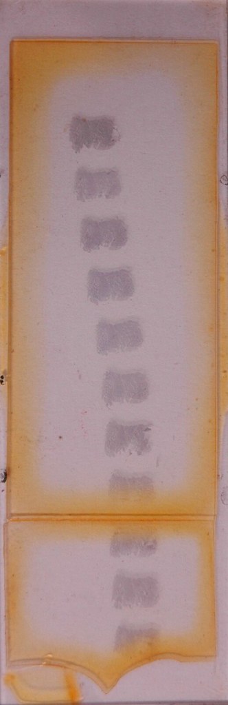 Sherrington's Box Drawer 13, Row 1, Slide 16