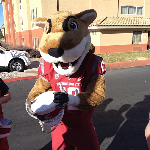 Butch hanging out with the Marching Band #WSU #GoCougs #gildannmbowl