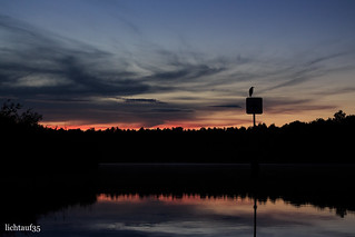 evening silhouette