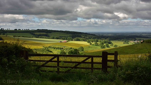 This green and pleasant land by Barry Potter (EdenMedia), Back in my beloved  East Riding this morning, Painsthorpe, East Riding of Yorkshirenikon barrypotter