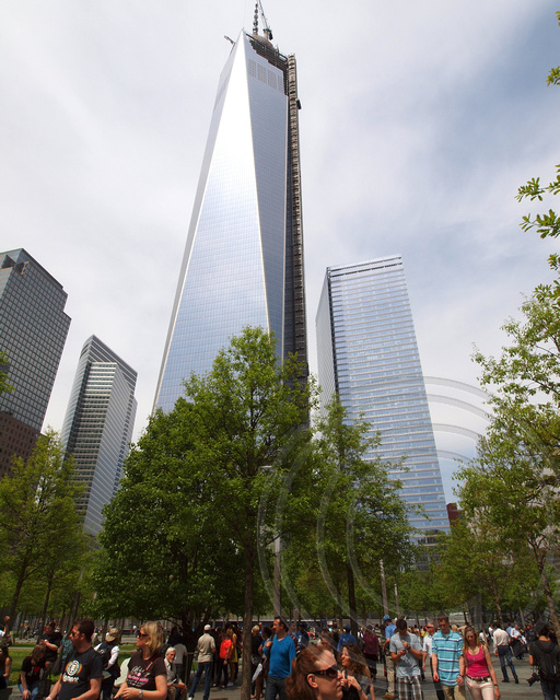 One World Trade Center with 9/11 Memorial Survivor Tree, Manhattan, New York City