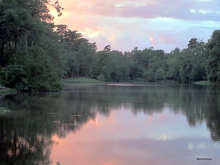 White Oak Lake at Sunset