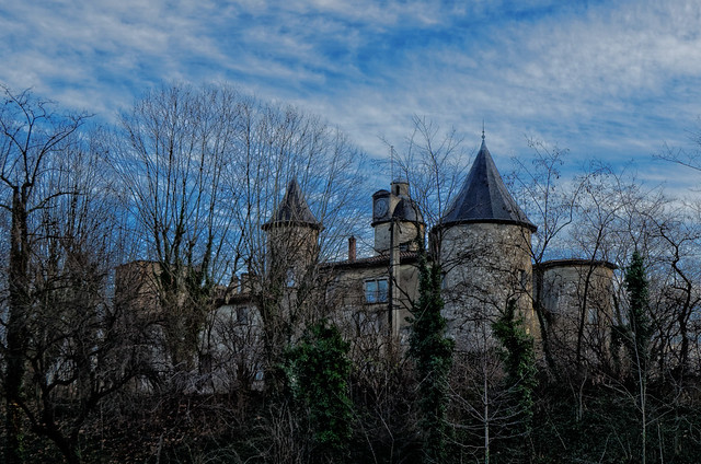 Château  la Motte - Lyon