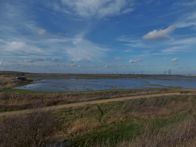 Rainham Marshes at Purfleet, Essex, England - February 2014