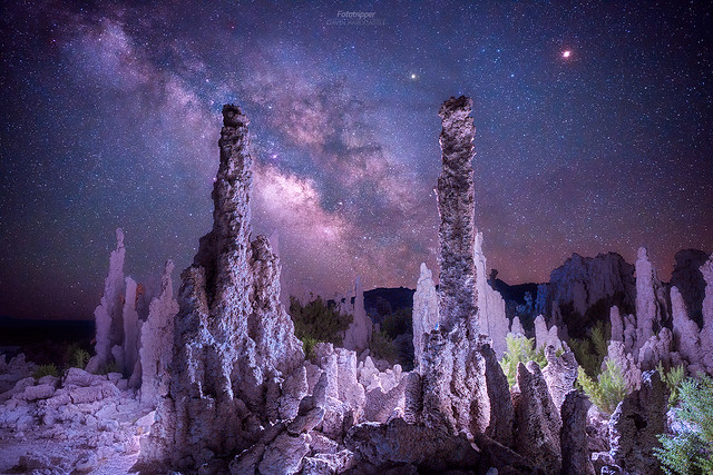 Phallus Forest - Mono Lake Milky Way