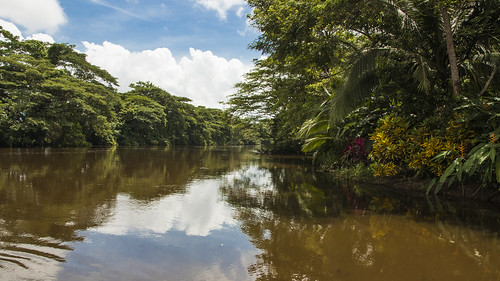 riu naturalesa aigua paisatge arbres núvols day jungle natura nature landscape costarica cañonegro river
