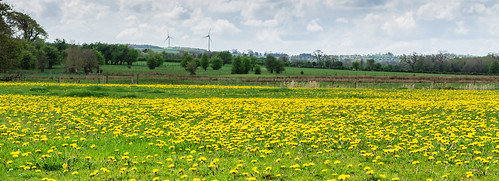 ireland windmills roscommon moatepark
