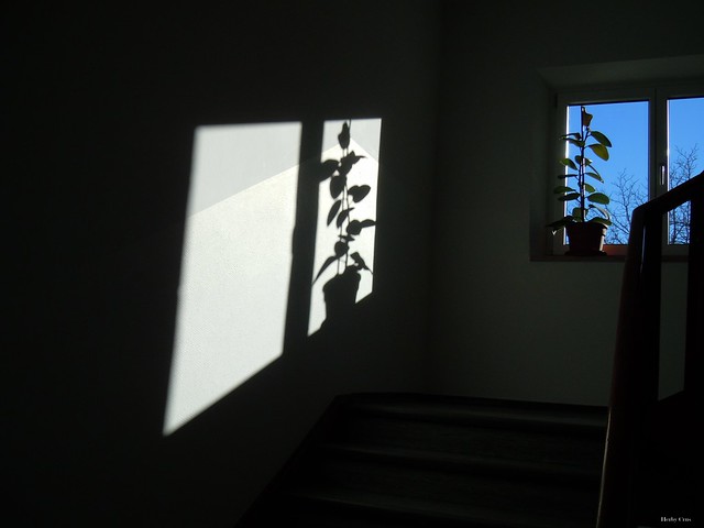 Licht und Schatten im Treppenhaus