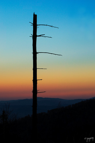 sunset sky mountains tree góry zachód kolor 2015 drzewo niebo