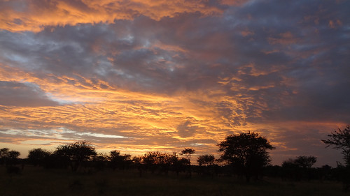 africa camp sunrise tanzania nationalpark safari serengeti seronera serengetinationalpark nyani nyanicamp