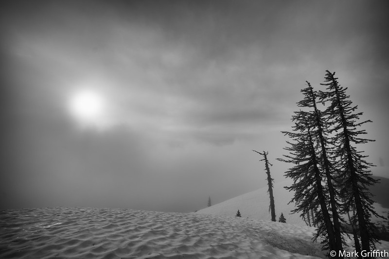 Lost in the Fog