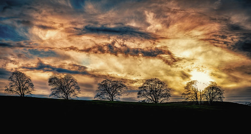 uk trees winter sunset england sky sun colour clouds canon landscape evening photo sharp handheld 28 dslr boltonabbey 2470 canon6d