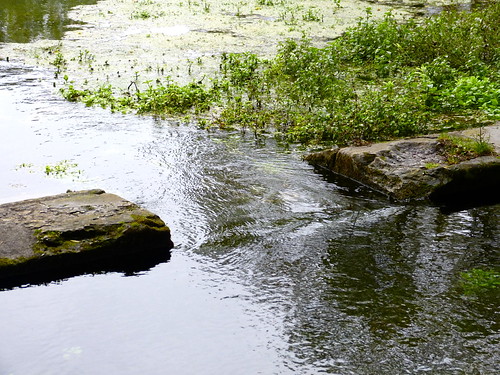 La source de la fontaine de Sagonne - Sagonne - Cher - Val de Germiny - Berry - Centre - France by vanaspati1, La fontaine de Sagonne rejoint le Sagonnin dans le bourg, qui va s'unir à l'Auron à Bannegon, qui a
