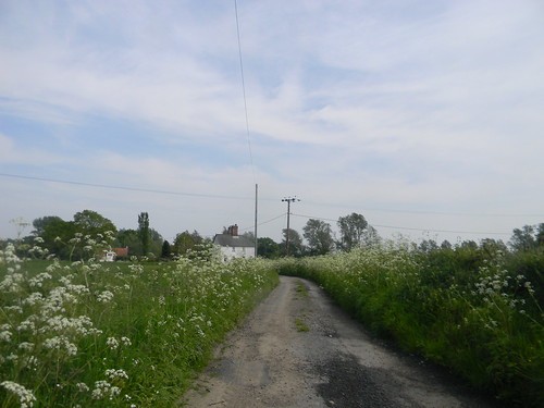 Cotage with cow parsley Manningtree Circular