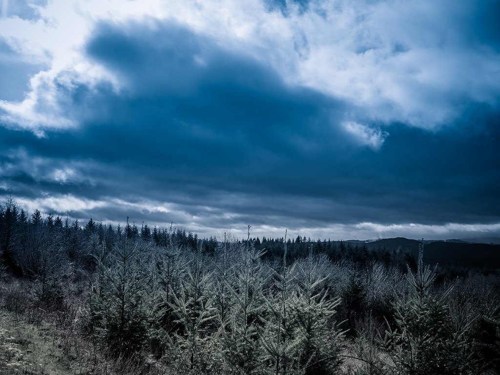 _2070013 | OLYMPUS DIGITAL CAMERA | Thomas Dekany | Flickr