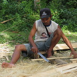 carpintero de bambú 
