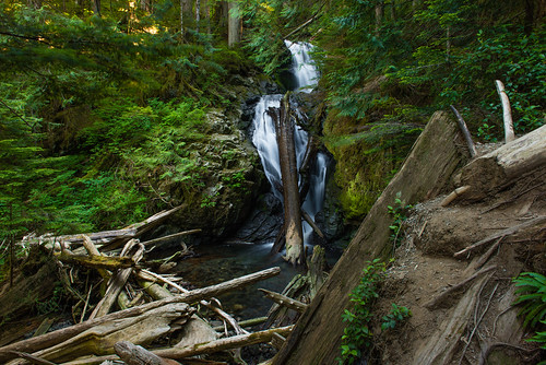 longexposure nature water leaves waterfall washington unitedstates events july noflash northamerica 24mm granitefalls hikes locations locale softwater manualmode iso50 2470mmf28 2013 lake22trail highvantagepoint geo:state=washington exif:focal_length=24mm exif:iso_speed=50 afsnikkor2470mmf28g objectsthings hasmetastyletag hascameratype naturallocale haslenstype camera:make=nikoncorporation selfrating5stars 20secatf11 exif:make=nikoncorporation geo:countrys=unitedstates exif:lens=240700mmf28 exif:aperture=ƒ11 subjectdistanceunknown nikond800e exif:model=nikond800e camera:model=nikond800e july272013 lake2207272013 geo:city=granitefalls granitefallswashingtonunitedstates geo:lat=480756766 geo:lon=1217599584 48°432n121°4536w