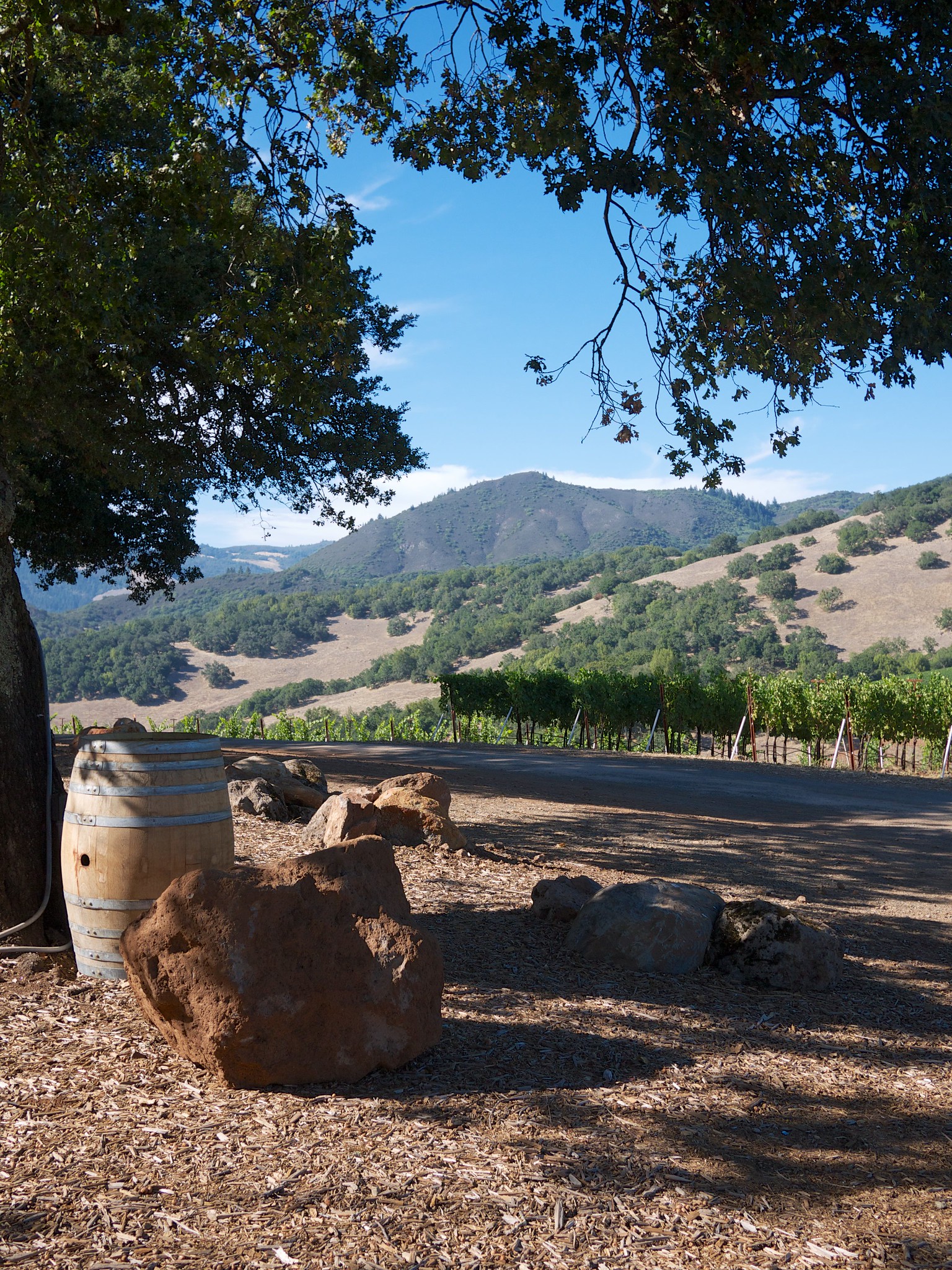 Kunde Family Estate