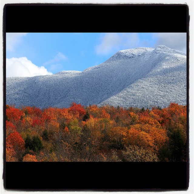 Winter is coming, Fall is falling! #ilovermont #nofilterneeded