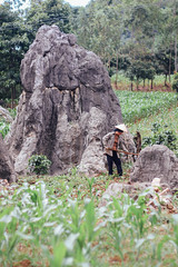 Woman Farming Near Karst, Sơn La Vietnam
