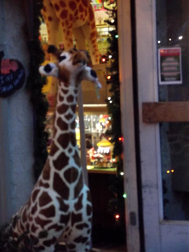 Stuffed Giraffe | by kerrins_giraffe
