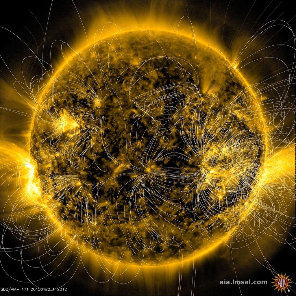 Magnetic Field Lines on the Sun