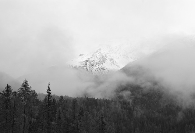 Nebel im Nationalpark