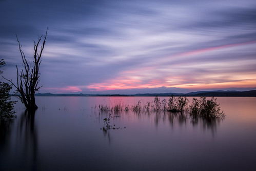 sunset sky lake tree water colors night clouds nikon wasser long exposure sonnenuntergang cloudy himmel wolken lonely bodensee constance pastell langzeitbelichtung d800e
