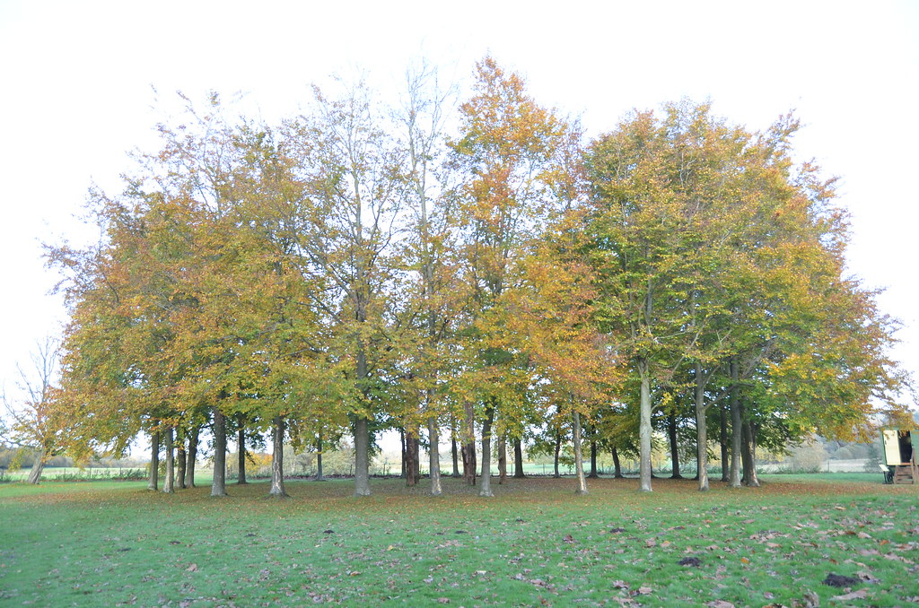 Outer tree circle | Mottisfont, Hampshire | AmandasPhotos | Flickr